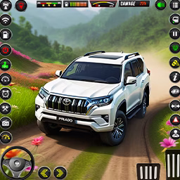 Cover van game Prado Auto Rijden