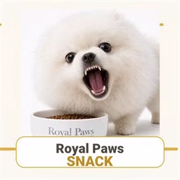 Royal Paws Snack Rush game cover on A2M Games